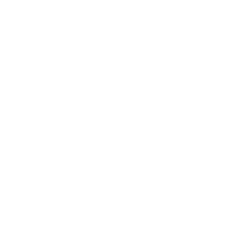 Brand Partner